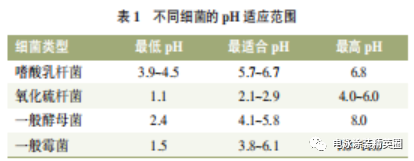 生菌槽体介绍